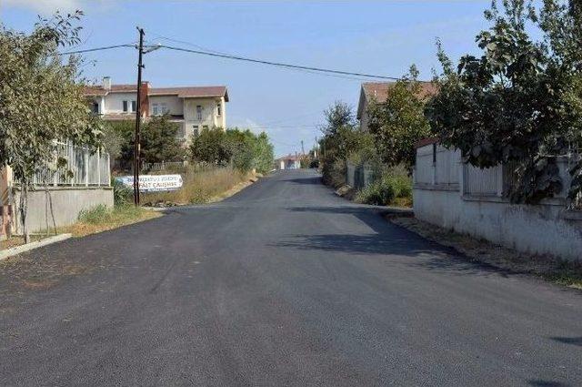 B&uuml;y&uuml;k&ccedil;ekmece Belediyesi Rekora Koşuyor 1