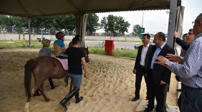 Kartepe Belediyesi&rsquo;nden Atla Terapi Y&ouml;ntemi