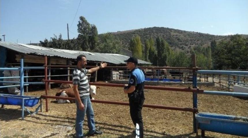 Boz&uuml;y&uuml;k&rsquo;te Besiciler Hayvan Hırsızlığına Karşı Uyarıldı