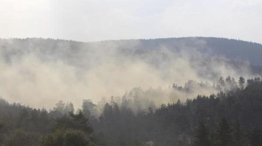 Bolu'da Orman Yangını