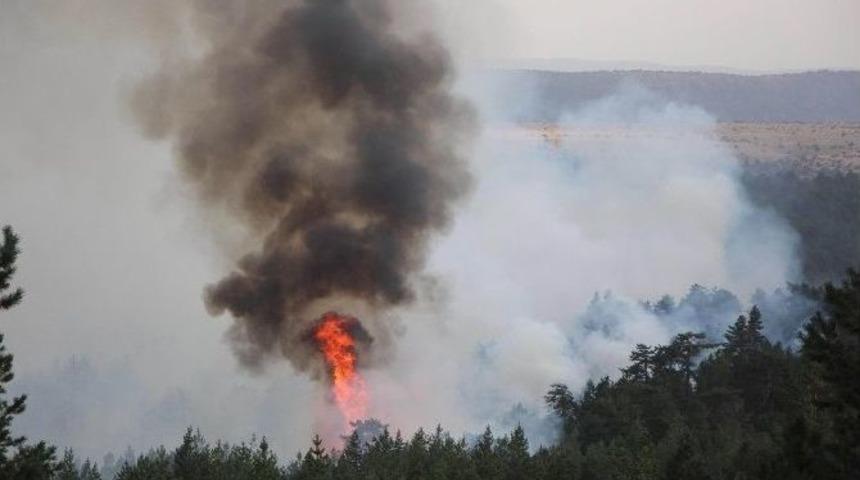 Bolu&rsquo;da Orman Yangını