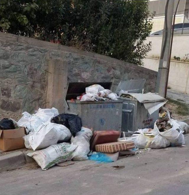 Belediye Çöpleri Toplamadı Mudanya’nın Sokakları Çöplüğe Döndü