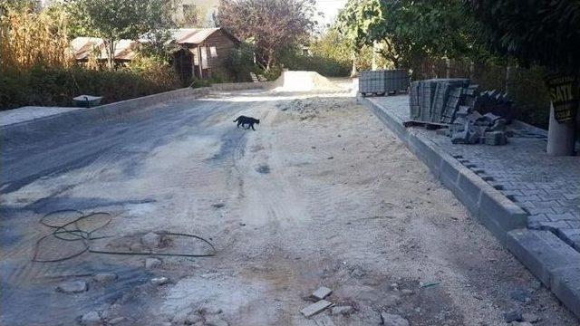 Başkan Yemenici Yapı &Ccedil;alışmalarını Yerinde İnceledi 1