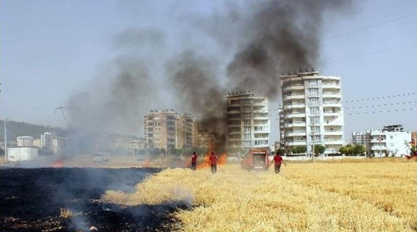 Mahalle Arasındaki Anız Yangını Korkuttu