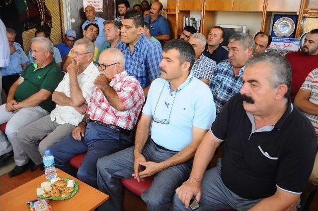 Şampiyon Develer Arenaya İniyor 1