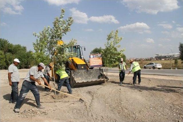 Eskişehir Daha Da Yeşilleniyor