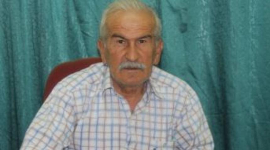 Balık &Ouml;l&uuml;mlerine İlişkin A&ccedil;ıklama