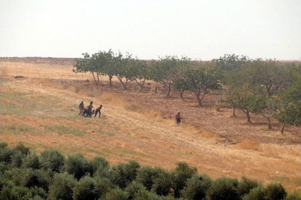 Suriye&rsquo;de &Ouml;so İle Işid Arasındaki &Ccedil;atışmalar Şiddetlendi