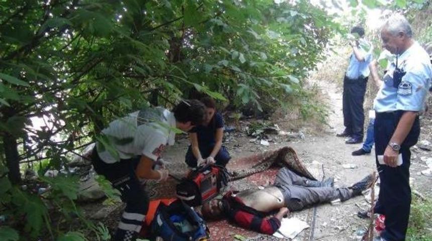 Bonzai Yine &Ouml;ld&uuml;rd&uuml;