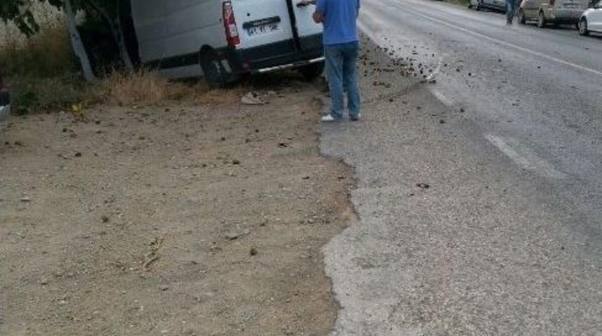 Ağaca &Ccedil;arptı