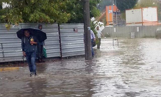 Kurbağalıdere Taştı, Kamyonlar Sular Altında Kaldı