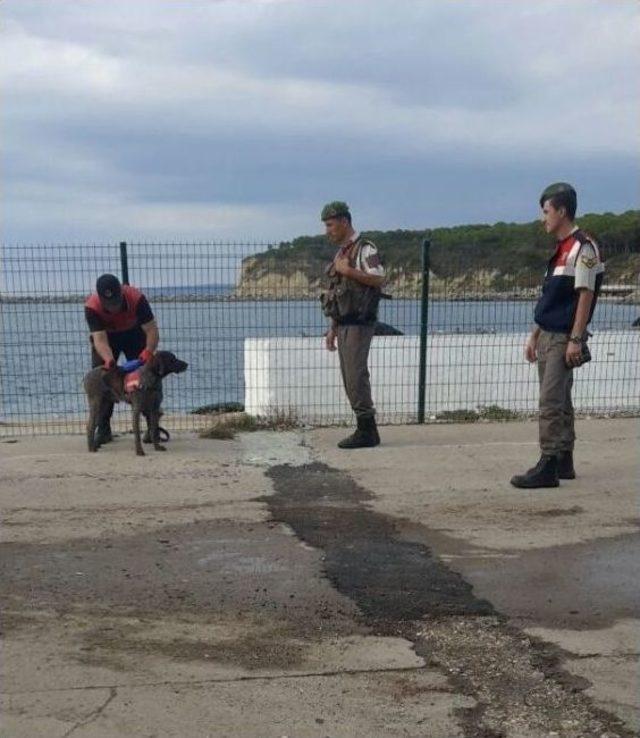 G&ouml;k&ccedil;eada Feribotunda Ş&uuml;pheli Ara&ccedil; Alarmı 2