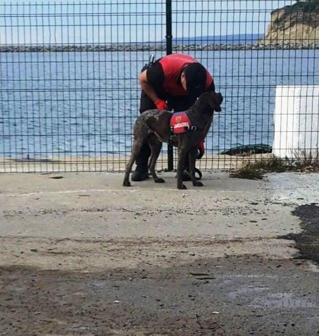 G&ouml;k&ccedil;eada Feribotunda Ş&uuml;pheli Ara&ccedil; Alarmı 3