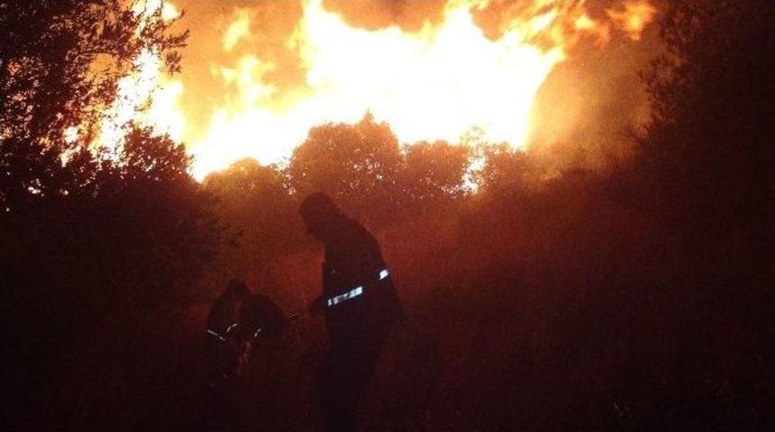 Hatay’da Orman Yangını