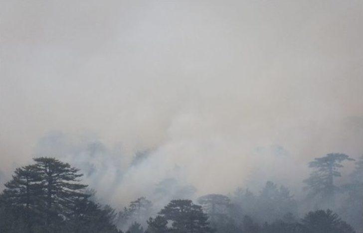 Konya’da Orman Yangını G1