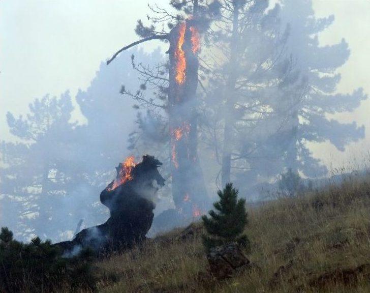 Konya’da Orman Yangını G4
