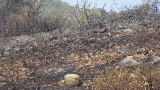 Hatay’da Orman Yangını Söndürüldü