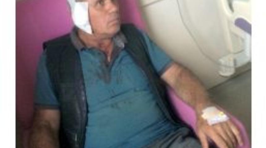 G&uuml;m&uuml;şhane Kelkit&rsquo;te K&ouml;pek Saldırısı: 4 Yaralı