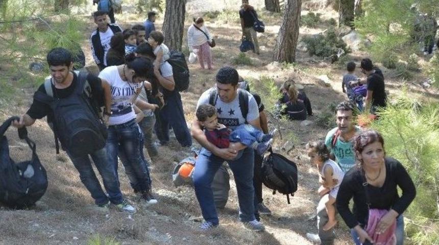 İş Bulamayan Sığınmacılar Geceyi Ormanda Ge&ccedil;irdi