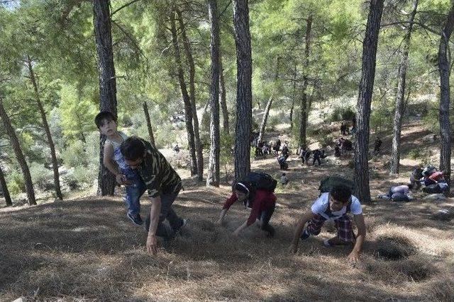 İş Bulamayan Sığınmacılar Geceyi Ormanda Geçirdi