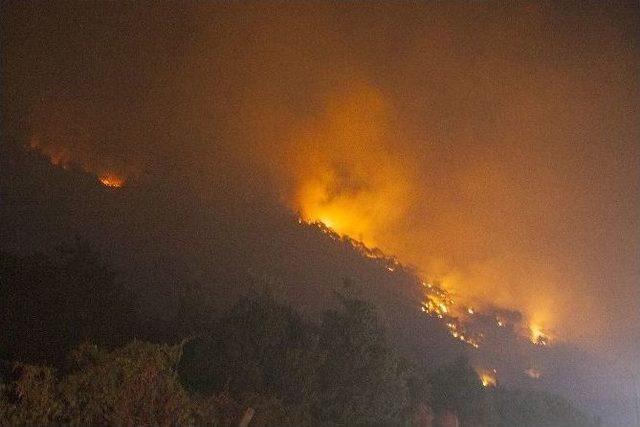 Balıkesir’de Orman Yangını Büyüyor