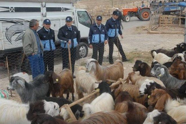 Efeler’de Kurban Satış Ve Kesim Yerleri Belirlendi