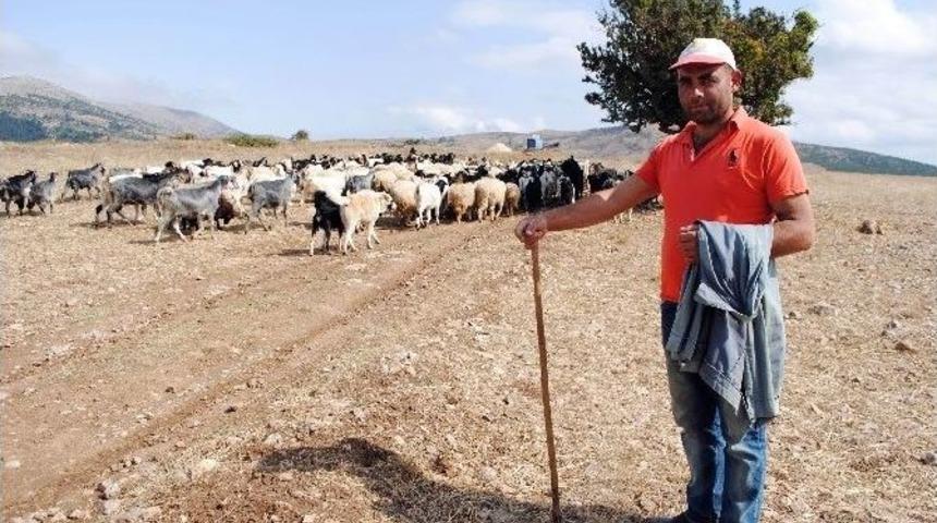Başlık Parasıyla Dolandırılan &Ccedil;obanı Polis Kurtardı