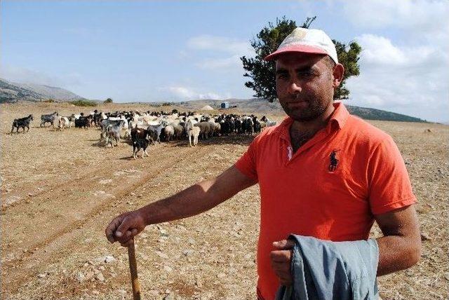 Başlık Parasıyla Dolandırılan &Ccedil;obanı Polis Kurtardı 1