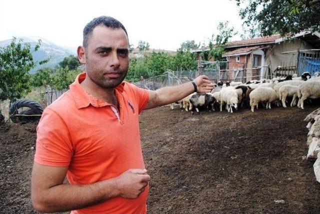 Başlık Parasıyla Dolandırılan &Ccedil;obanı Polis Kurtardı 2