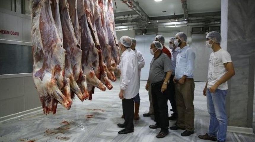 Kaymek&rsquo;ten Kurban Kesimi Kursu