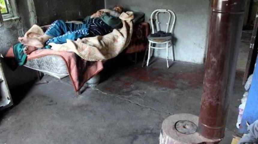 Harebe Evden Huzurevine Gitmek Istiyor