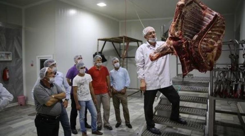 Kayseri'de Belediyeden, Kurban Kesim Kursu
