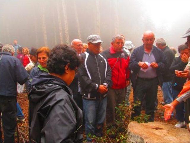 Kazdağları'nda 'res Istemiyoruz' Eylemi