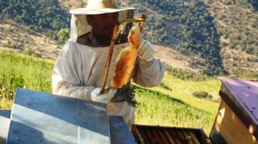 Sigaraya Vereceği Parayı Biriktirdi 30 Kovan Sahibi Oldu