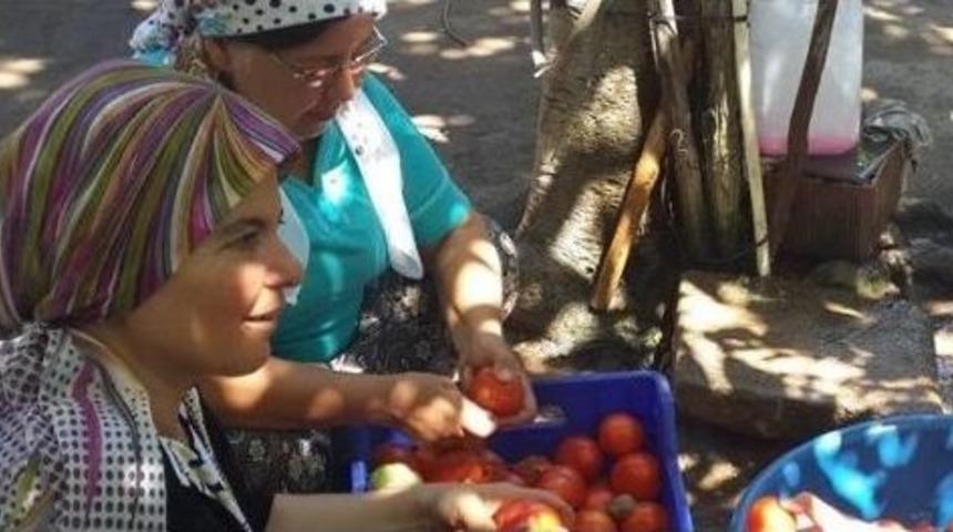 Aydınlı Hanımlar Re&ccedil;el Ve P&uuml;re Yapmayı &Ouml;ğrendi