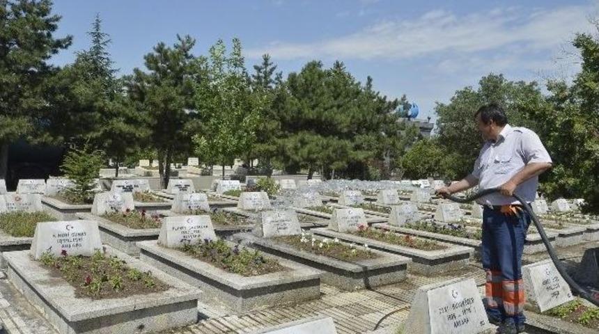 B&uuml;y&uuml;kşehir, Kurban Bayramı&rsquo;na Hazır