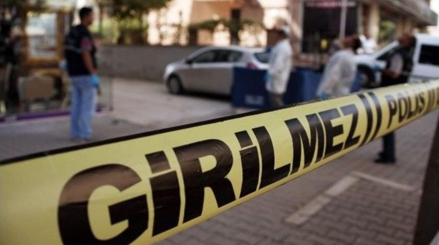 8. Kattan Atlayarak İntihar Etti