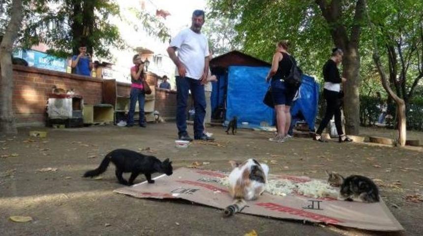 Hayvan Haklarına Dikkat Çekmek Motosikleriyle Yollarda