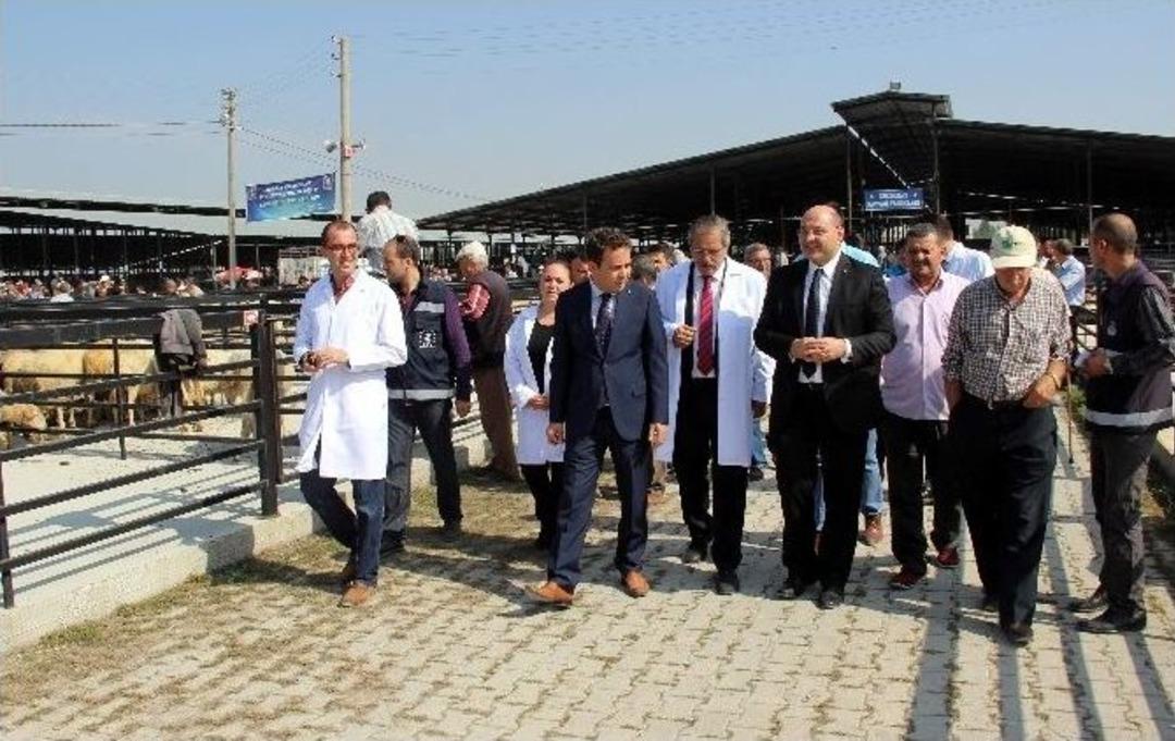 Canlı Hayvan Pazarı T&ouml;renle A&ccedil;ıldı