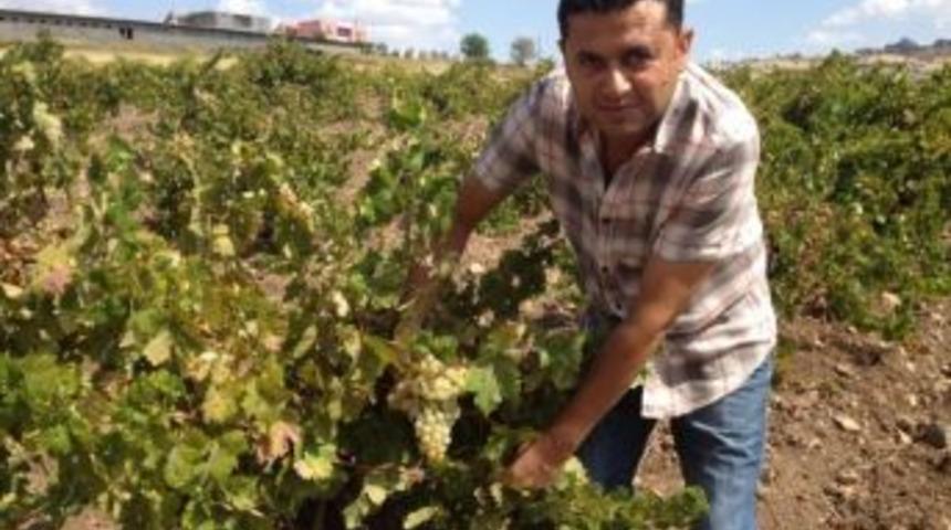 Dicle &Uuml;niversitesi&rsquo;nin Bir Projesine Daha Destek