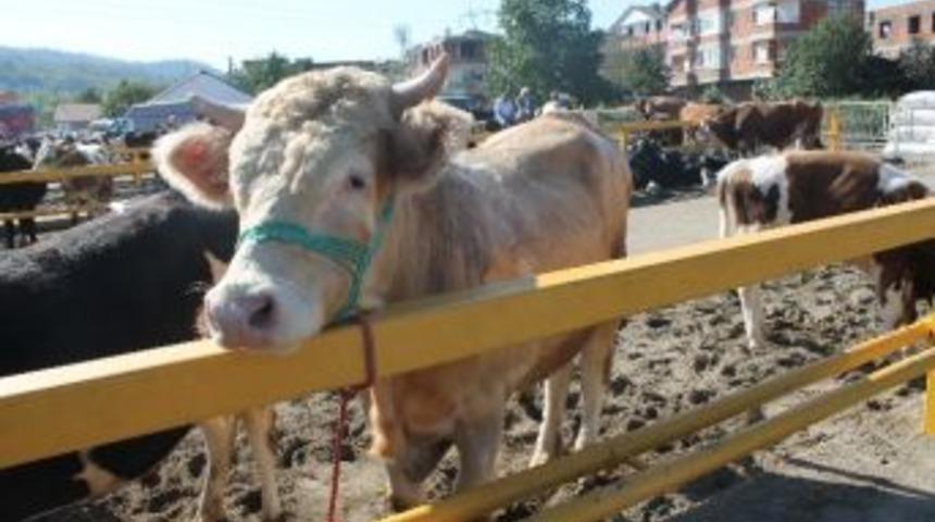 Altınordu&rsquo;da Kurban Kesim Alanları Belli Oldu