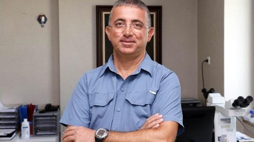 Lenfoma Kanseri En &Ccedil;ok Tarım İş&ccedil;ilerini Vuruyor