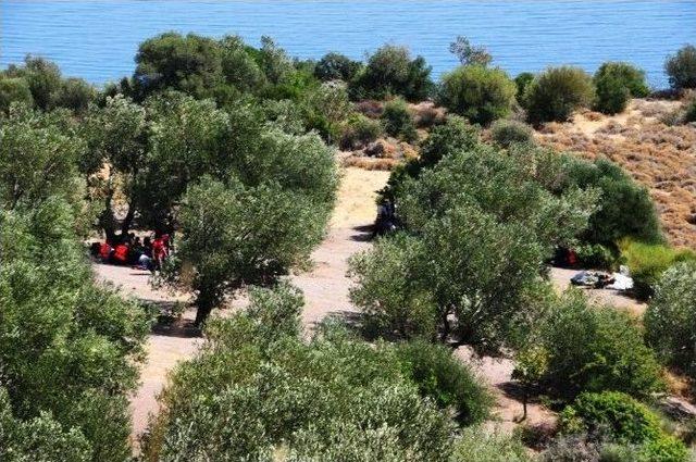 Avrupa Hayaliyle G&uuml;n Y&uuml;z&uuml;ne &Ccedil;ıkan Eziyet 2