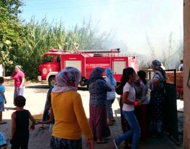 S&ouml;ke&rsquo;de Sazlık Alanda &Ccedil;ıkan Yangın Korkuttu 1