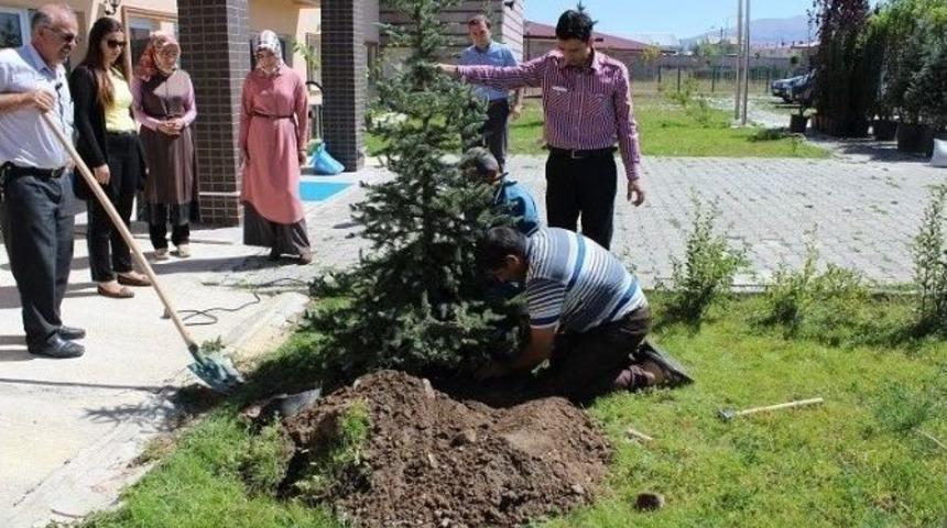 Engelsiz Yaşam Bakım Ve Rehabilitasyon Merkezi&rsquo;nde Fidan Dikim Etkinliği