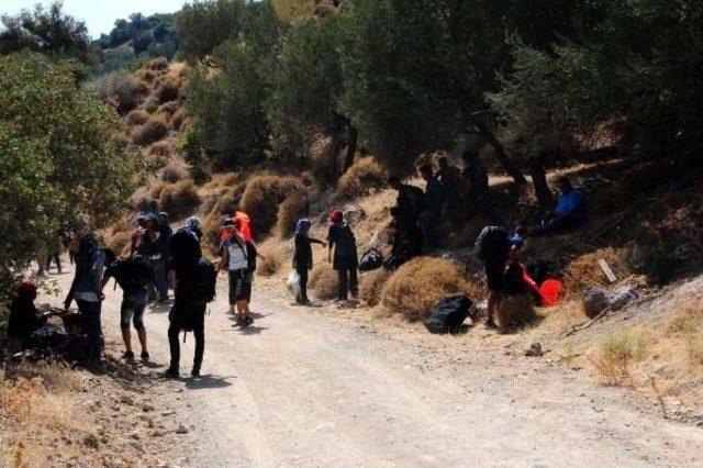 Ayvacık'ta Dağ Taş Kaçak Dolu