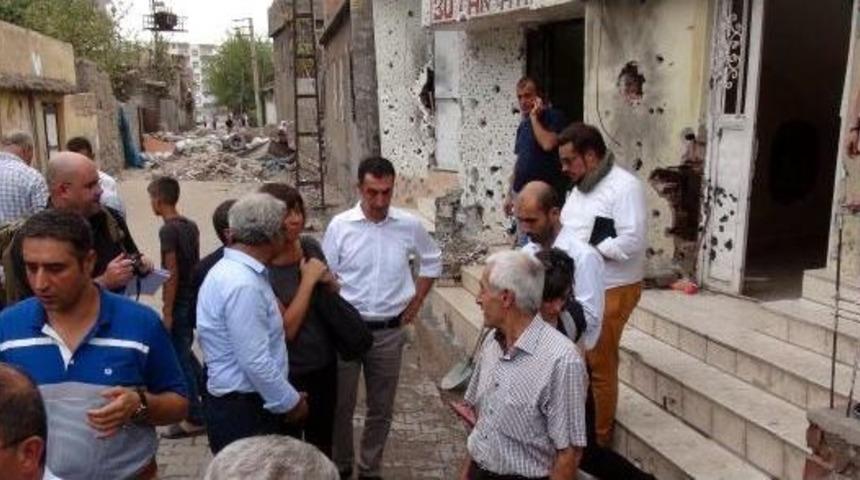 Alman Yeşiller Heyeti Cizre'de: Silahlar Hemen Sussun