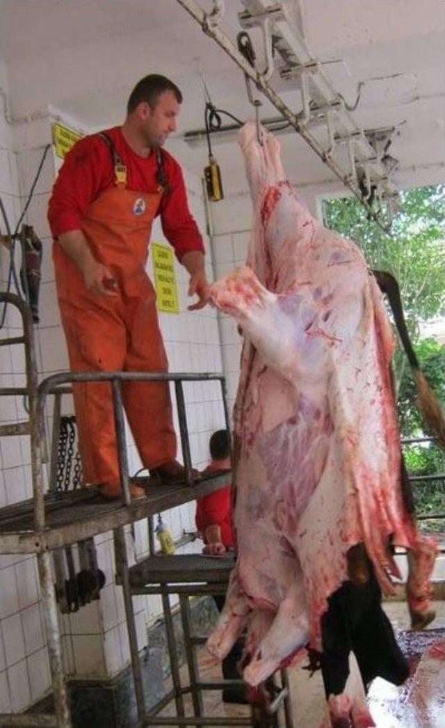 Kurban &Ouml;ncesinde Kasaplara Uygulamalı Kurs 1