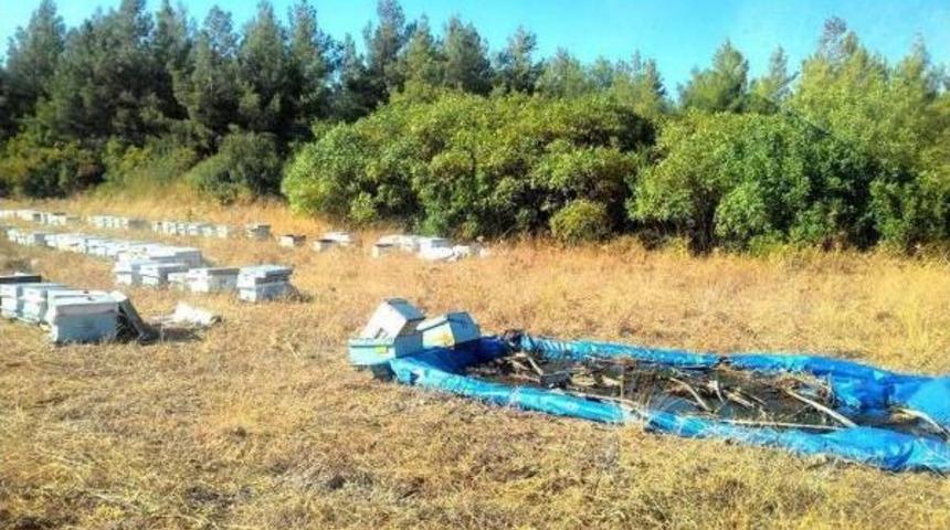 Kazada Yola Sa&ccedil;ılan Kovanlardaki Arılara Can Suyu Ormancılardan
