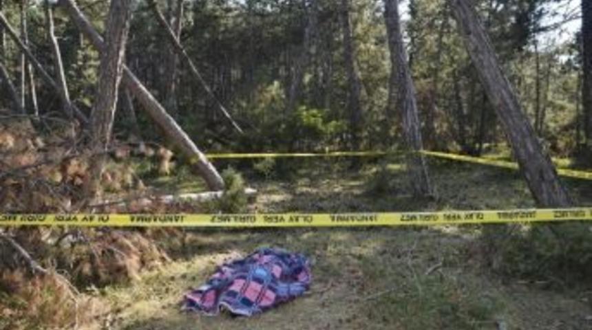 &Uuml;zerine Ağa&ccedil; Devrilen Hamile Kadın &Ouml;ld&uuml;